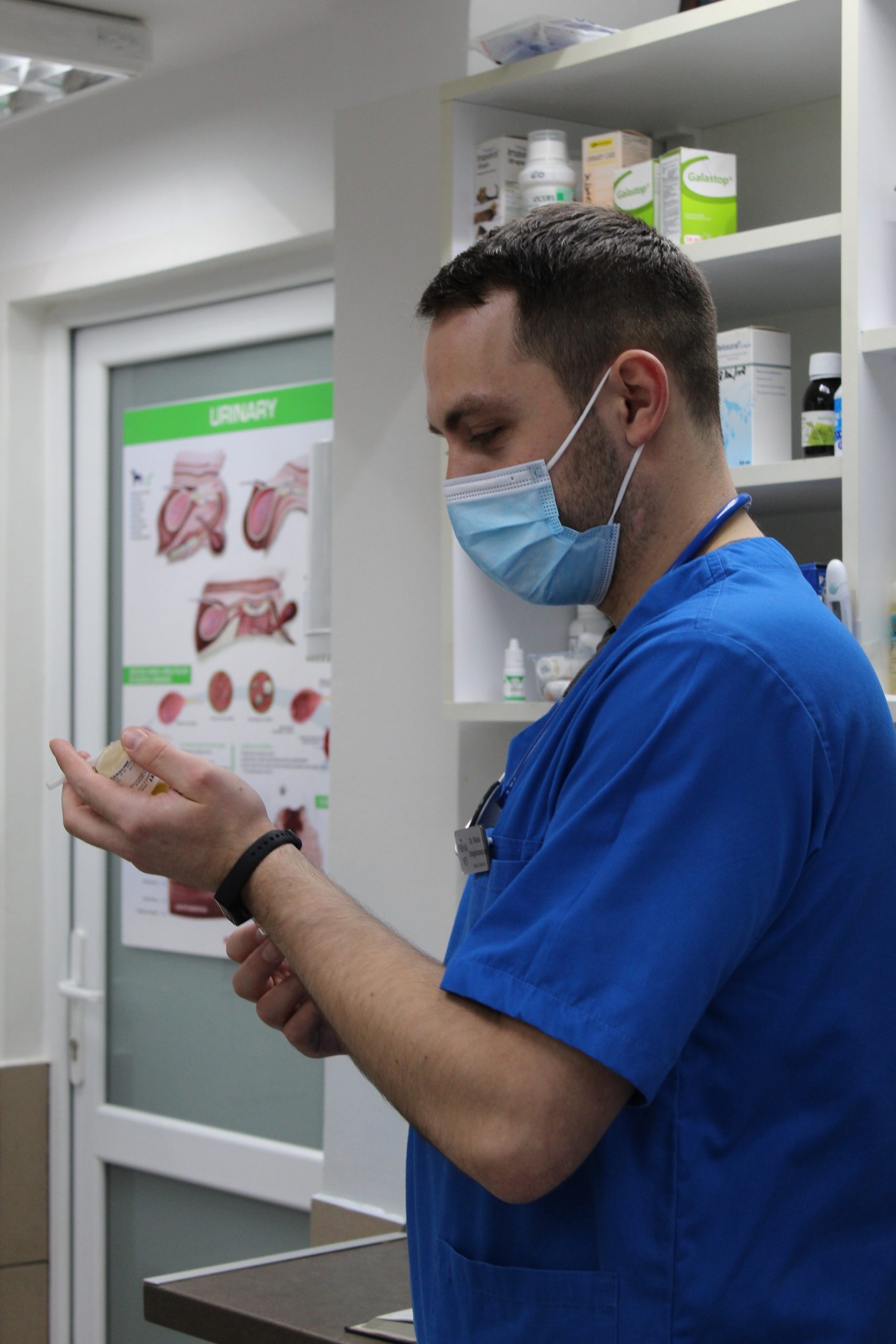 Spital Veterinar Memorial Prima Vet Rahova PrimaVet